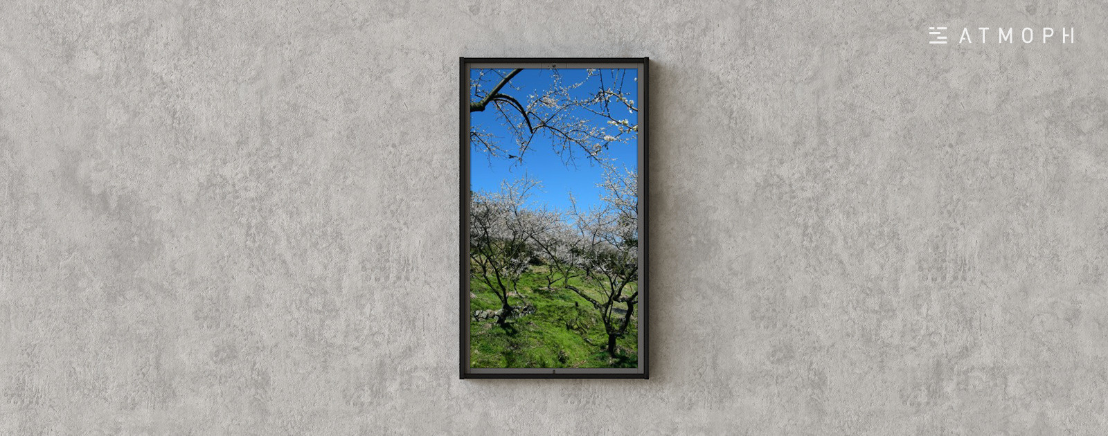 Plum Grove at Kinyuji 2, Osaka Atmoph Window